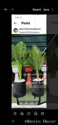Maua Saizi Kati